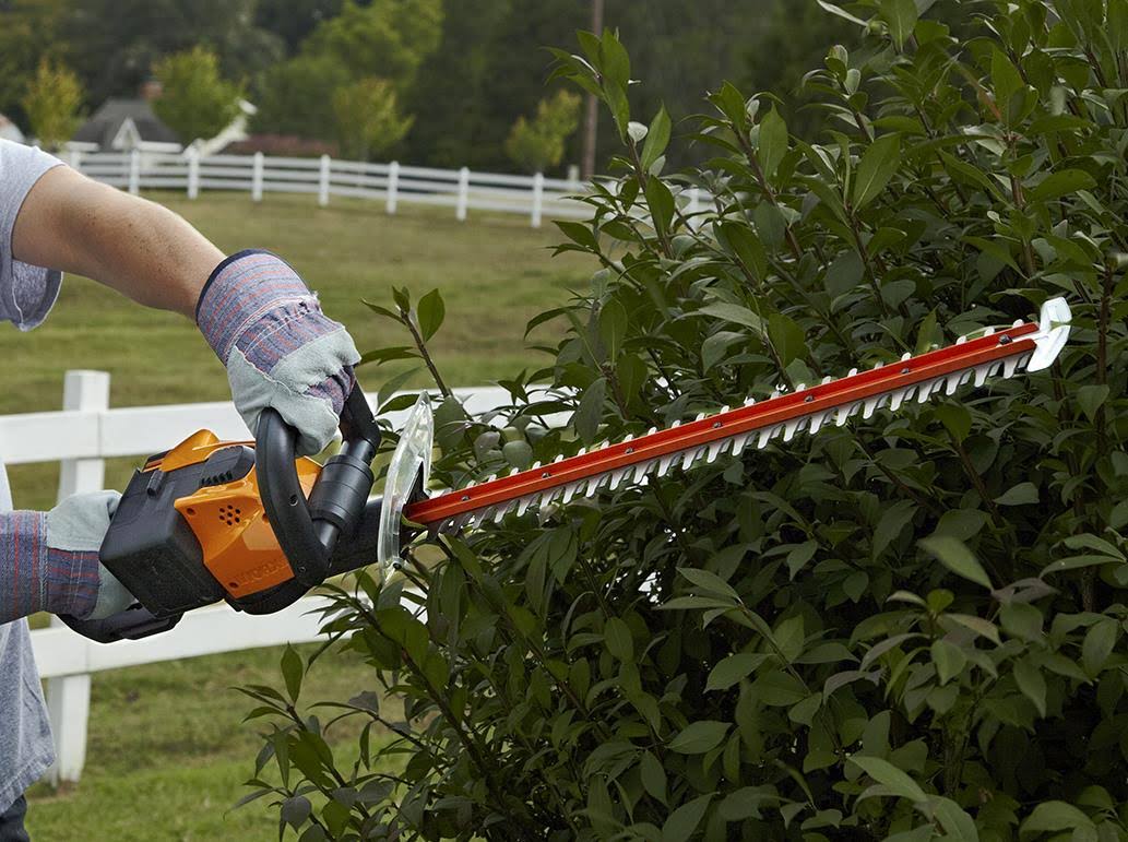 24×22 56V Cordless Hedge Trimmer Wg291
