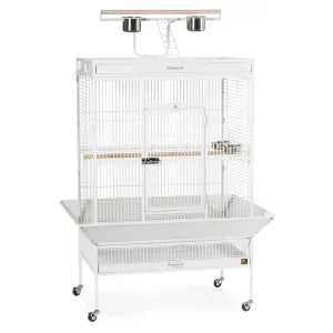 Wrought Iron Select Bird Cage 3154C, Chalk White, 36-Inch by 24-Inch by 66-Inch